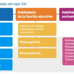 Diagrama de habilidades del siglo XXI: cognitivas (básicas, técnicas, digitales, avanzadas), de función ejecutiva (memoria, flexibilidad, autocontrol, metacognición, autorregulación) y socioemocionales (motivación, autoestima, etc.).
