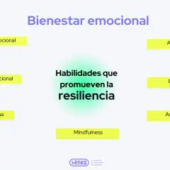 Diagrama sobre bienestar emocional y habilidades para la resiliencia: conciencia, regulación, autoestima, autoeficacia, empatía, asertividad y mindfulness.
