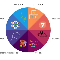 Diagrama circular ilustra las inteligencias múltiples: naturalista, lingüística, lógico-matemática, espacial, musical, corporal, intrapersonal e interpersonal.