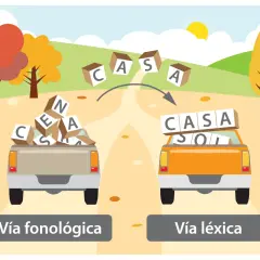 Dos camionetas, una con fichas para aprender a escribir desordenadas y otra con palabras formadas, ilustran las vías fonológica y léxica.