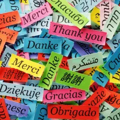 Fragmentos de tela con "Gracias" en varios idiomas, mostrando porque es importante aprender idiomas para conectar con el mundo.