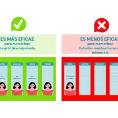 Un truco para estudiar: la práctica espaciada (30 min diarios) es más eficaz que estudiar muchas horas un mismo día.