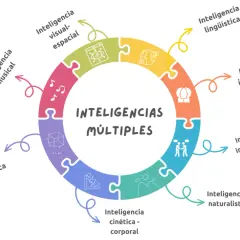 Diagrama circular muestra las inteligencias múltiples: musical, visual-espacial, lógico-matemática, cinética-corporal, naturalista, interpersonal e intrapersonal, entre otras.