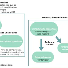 Diagrama que muestra cómo se definen las competencias clave y específicas, sus descriptores y saberes básicos, vinculados a situaciones de aprendizaje.