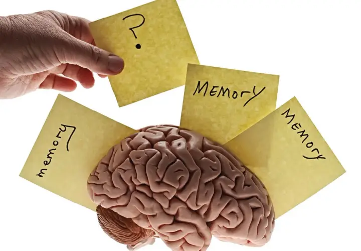 Un cerebro rodeado de notas amarillas con la palabra "Memoria" y un signo de interrogación, ilustrando el procesamiento cognitivo y la memoria.