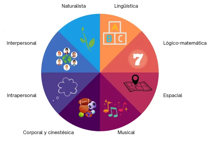 Diagrama circular ilustra las inteligencias múltiples: naturalista, lingüística, lógico-matemática, espacial, musical, corporal, intrapersonal e interpersonal.