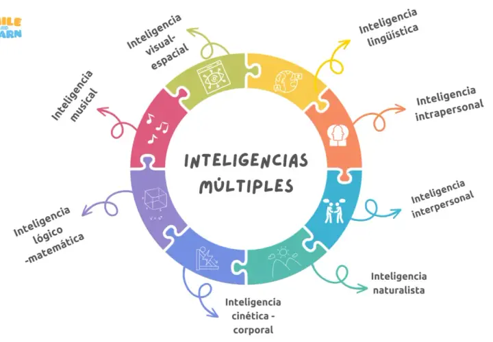 Diagrama circular muestra las inteligencias múltiples: musical, visual-espacial, lógico-matemática, cinética-corporal, naturalista, interpersonal e intrapersonal, entre otras.