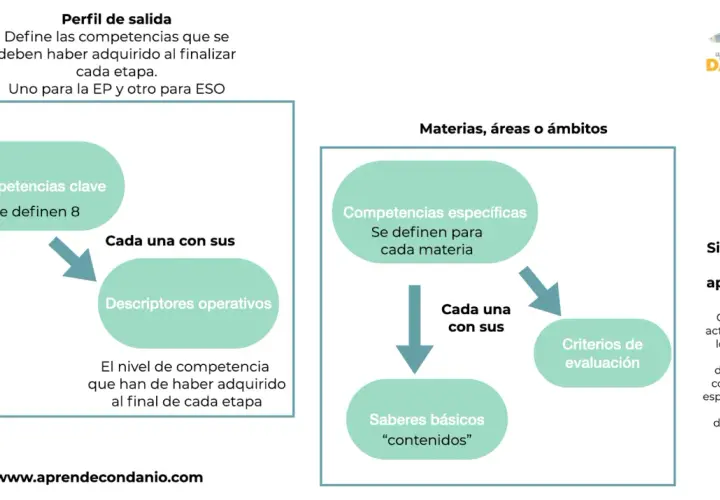 Diagrama que muestra cómo se definen las competencias clave y específicas, sus descriptores y saberes básicos, vinculados a situaciones de aprendizaje.