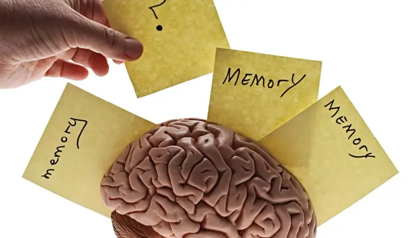Un cerebro rodeado de notas amarillas con la palabra "Memoria" y un signo de interrogación, ilustrando el procesamiento cognitivo y la memoria.