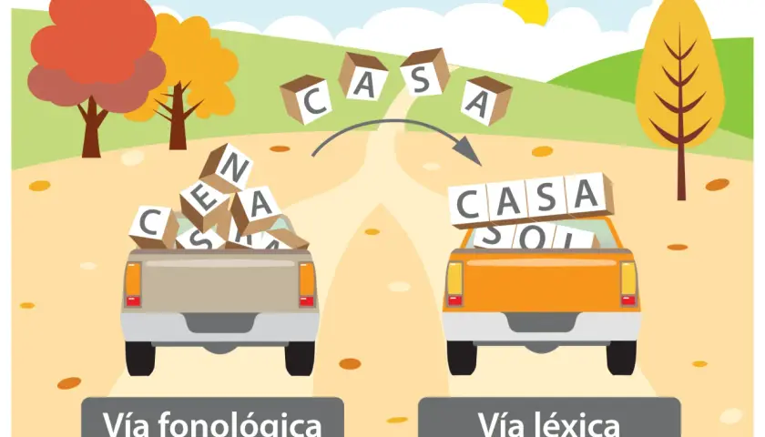 Dos camionetas, una con fichas para aprender a escribir desordenadas y otra con palabras formadas, ilustran las vías fonológica y léxica.