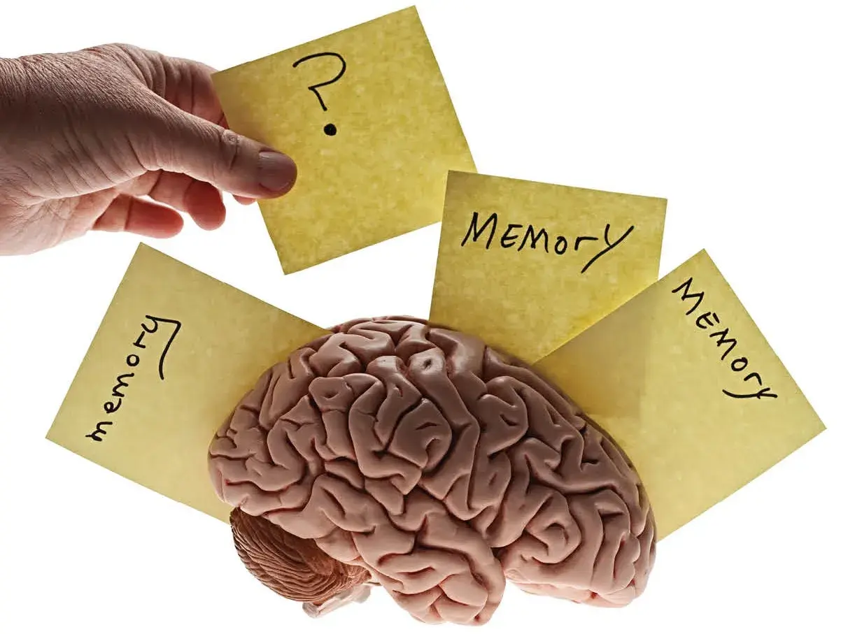 Un cerebro rodeado de notas amarillas con la palabra "Memoria" y un signo de interrogación, ilustrando el procesamiento cognitivo y la memoria.