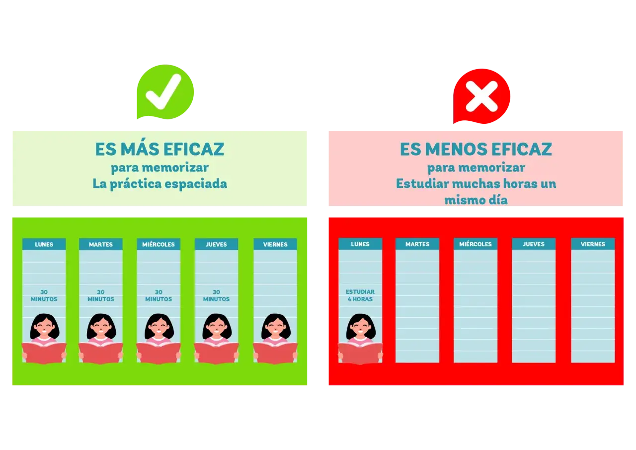Un truco para estudiar: la práctica espaciada (30 min diarios) es más eficaz que estudiar muchas horas un mismo día.