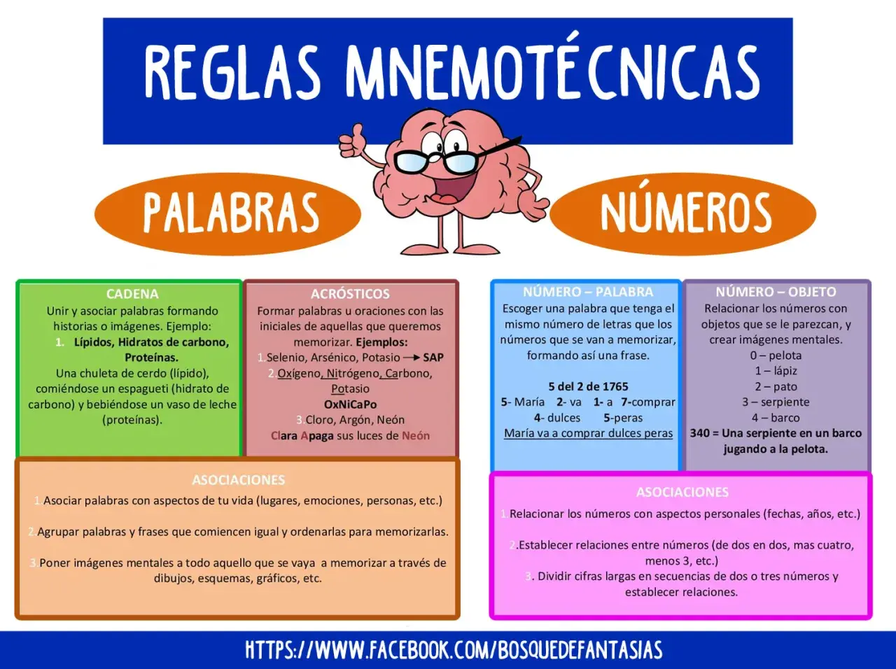 Reglas mnemotécnicas: ejemplos de cómo memorizar palabras y números con cadenas, acrósticos, número-palabra y número-objeto.