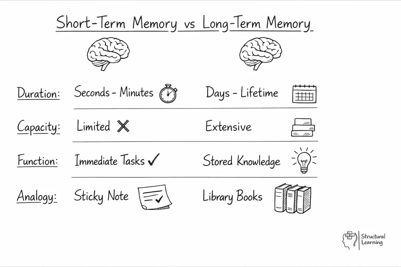 Comparación de memoria a corto y largo plazo: duración, capacidad, función y analogía. Ejemplos de mnemotecnia para recordar.