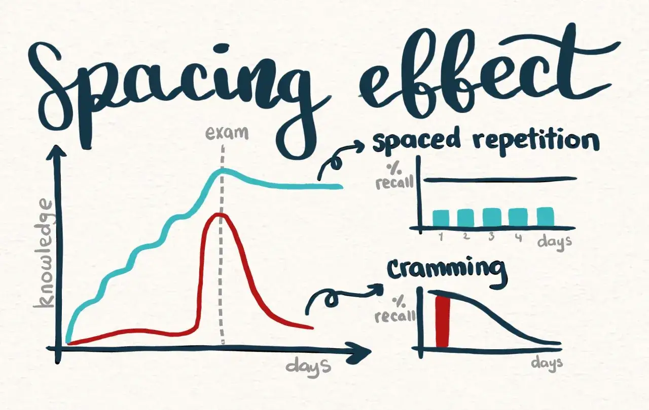 Gr&aacute;ficos comparan el efecto de la repetici&oacute;n espaciada vs. estudio intensivo. La curva del olvido muestra que la repetici&oacute;n espaciada mantiene el conocimiento.
