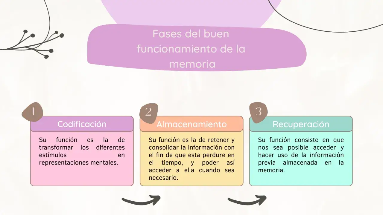 Diagrama ilustra las fases del buen funcionamiento de la memoria: codificación, almacenamiento y recuperación.