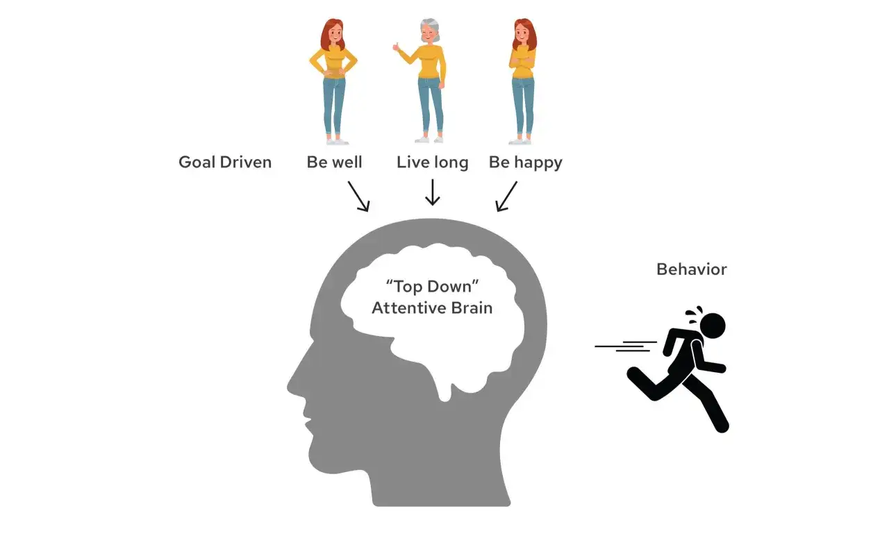 El procesamiento cognitivo