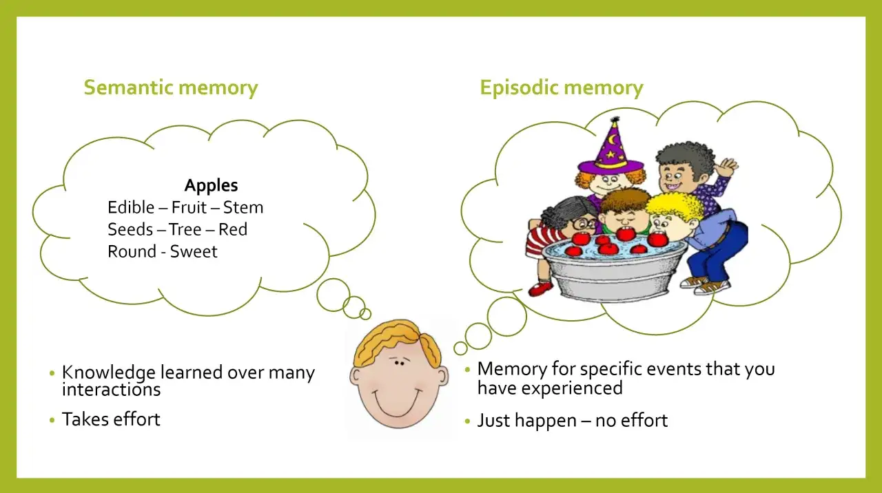 Memoria semántica sobre manzanas (edible, fruta, dulce) y memoria episódica de niños jugando a coger manzanas.